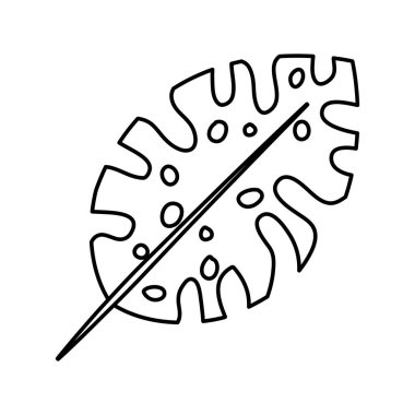 egzotik ve tropikal yaprak bitki