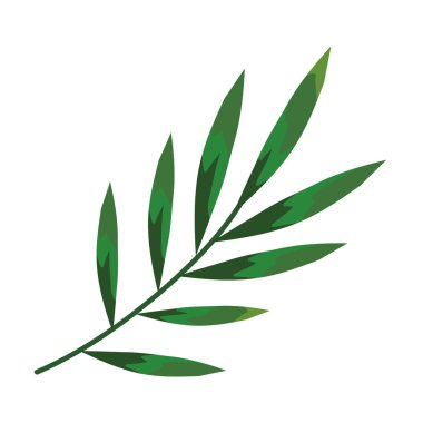 yapraklar bitkiler simgesi ile dal