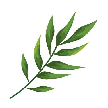 yapraklar bitkiler simgesi ile dal