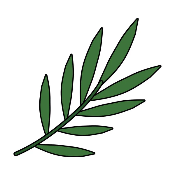 Ág Leafs növények ikonja — Stock Vector