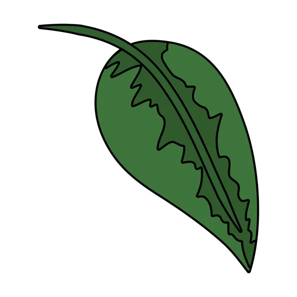 Écologie feuille plante nature icône — Image vectorielle