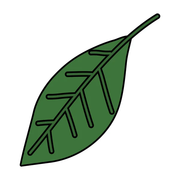 Écologie feuille plante nature icône — Image vectorielle