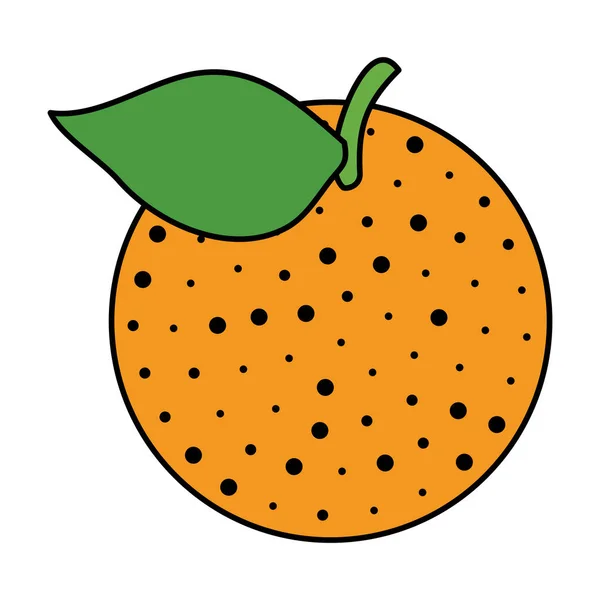 Naranja cítricos fresco icono — Archivo Imágenes Vectoriales