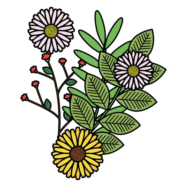 Bloemen en blaadjes van decoratieve tuin — Stockvector