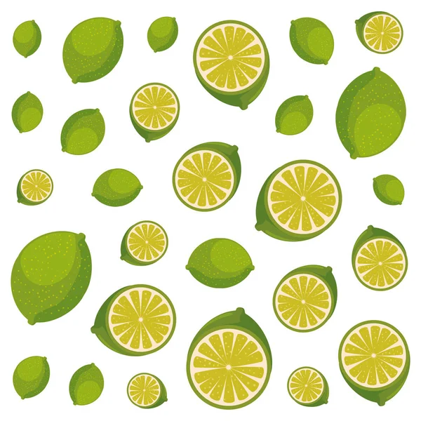 Fresh lemon citrus fruit — Stock Vector