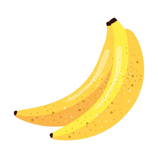 Bananas frutas frescas ícone isolado — Vetor de Stock