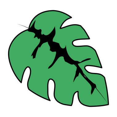 egzotik ve tropikal yaprak bitki