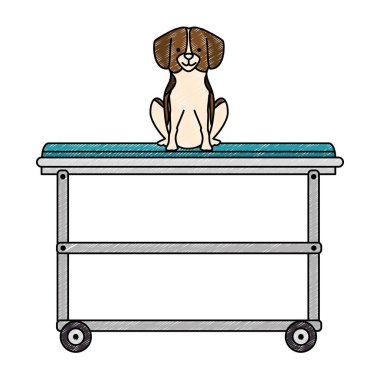 sedye karakter sevimli köpek