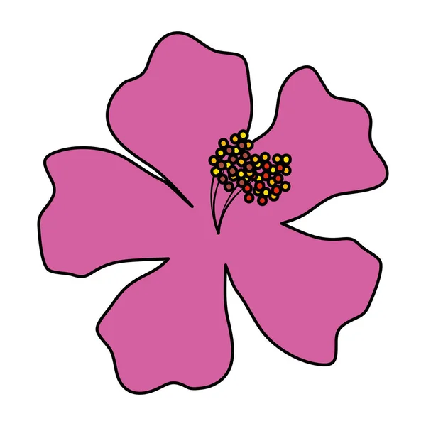 Mooie bloem exotische tropische pictogram — Stockvector