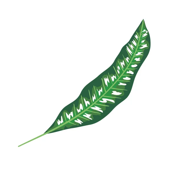 Ökologie Blatt Pflanze Natur Symbol — Stockvektor