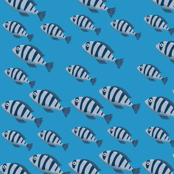 可爱的颜色鱼模式字符 — 图库矢量图片