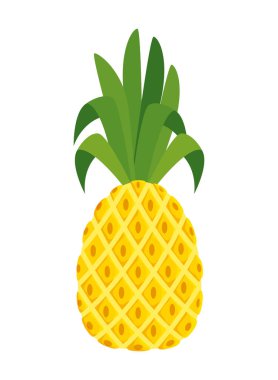 yaz taze meyve ananas simgesi