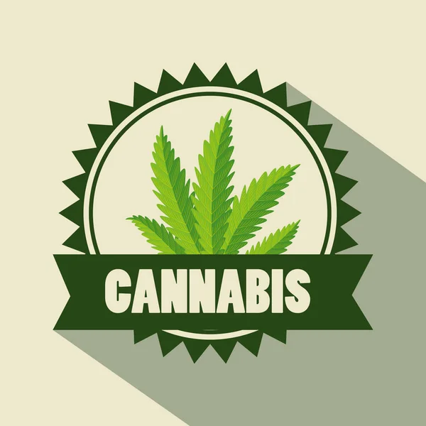 Etiqueta de cannabis naturaleza planta y medicina natural — Vector de stock