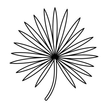 egzotik ve tropikal yaprak bitki