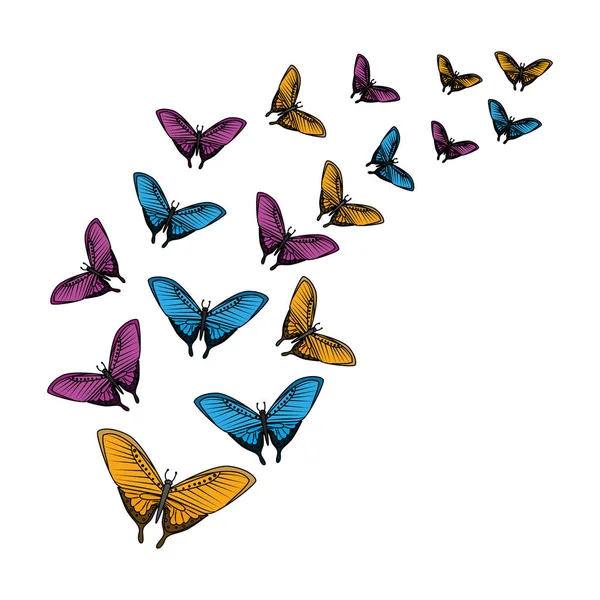 Grupo de hermosas mariposas volando — Vector de stock