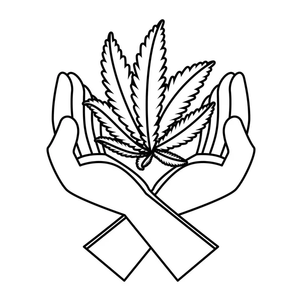 Руки защищая растение листьев конопли — стоковый вектор