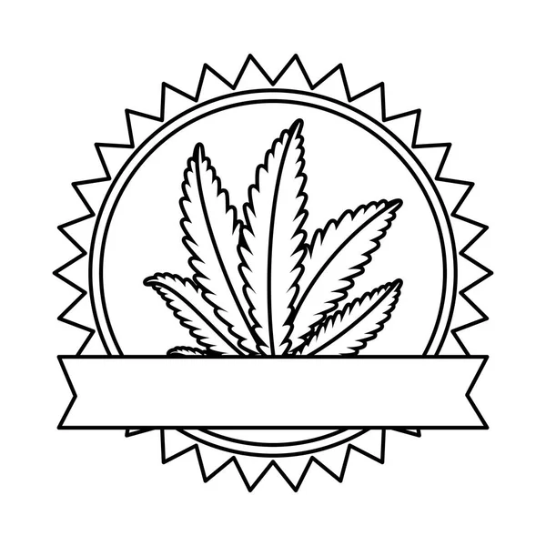 Planta de cannabis folhas quadro da natureza — Vetor de Stock