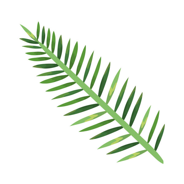 экзотические и тропические листья
