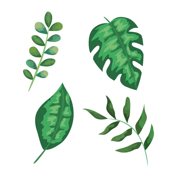 Zestaw egzotycznych liści roślin stylu — Wektor stockowy