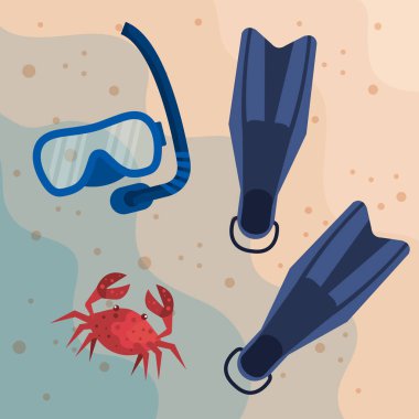 plajda yüzgeçsu ekipmanları ve yengeç ile şnorkel maskeleri