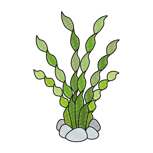 Akvaryum dekoratif yosun simgesi — Stok Vektör