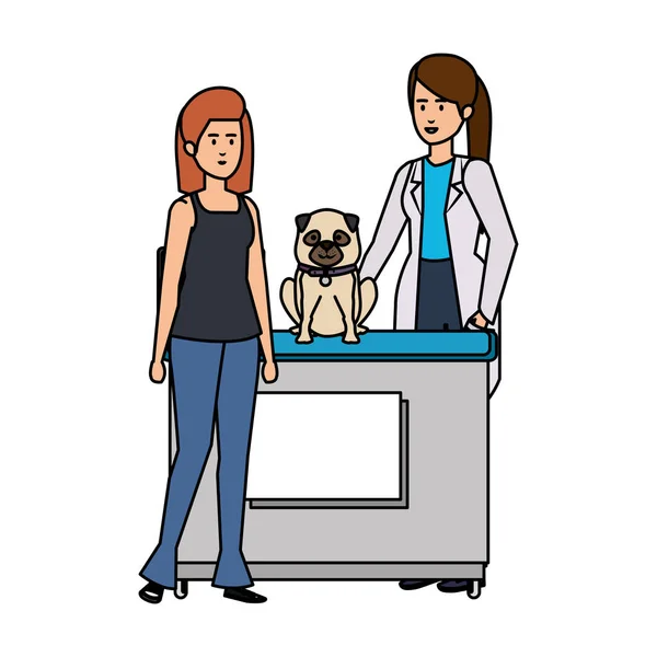 Nőstény állatorvos kutyával az irodában vektor illusztráció — Stock Vector