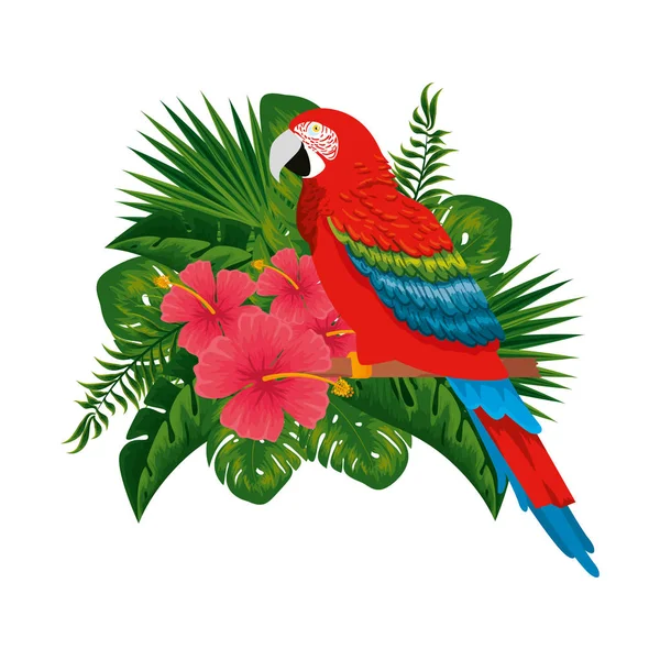 Тропічний і екзотичний папуга з квітковим прикрасою — стоковий вектор
