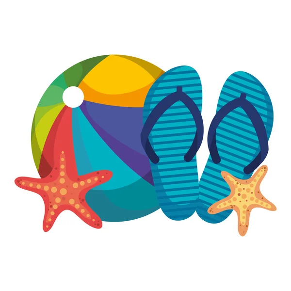 Balon na plaży z klapami i rozgwiazdy — Wektor stockowy