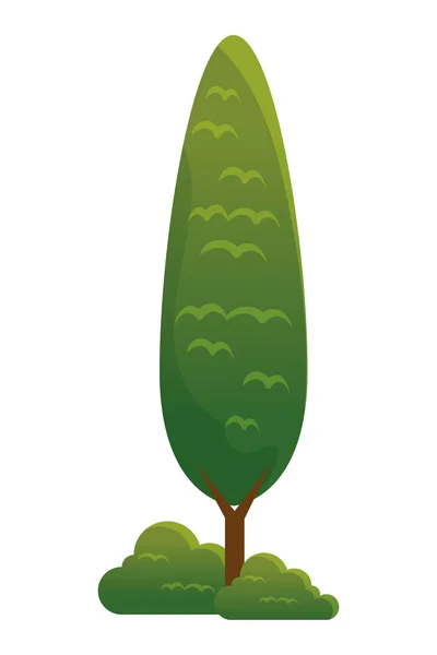Drzewo roślina natura odizolowany ikona — Wektor stockowy