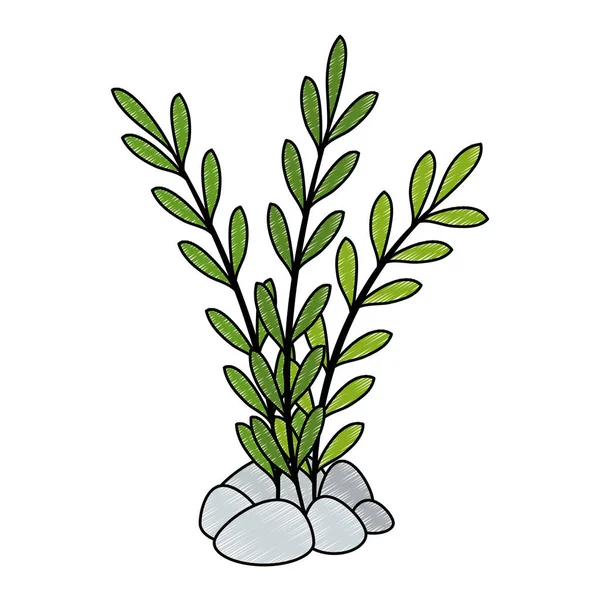 Acuario icono de algas decorativas — Vector de stock