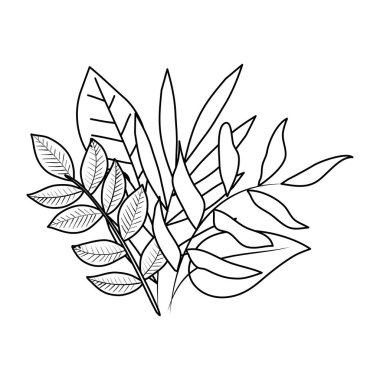 ekoloji yapraklar bitkiler ve dalları doğa dekorasyon