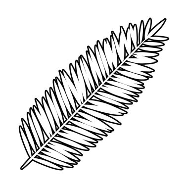 Egzotik yaprak palmiyesi tropikal simgesi