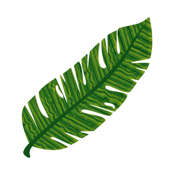 exotic leaf plant icon