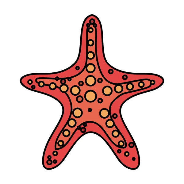 A nyári tengeri csillag állat izolált ikon — Stock Vector