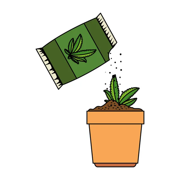 Planta de cannabis en maceta con bolsa de semillas — Vector de stock