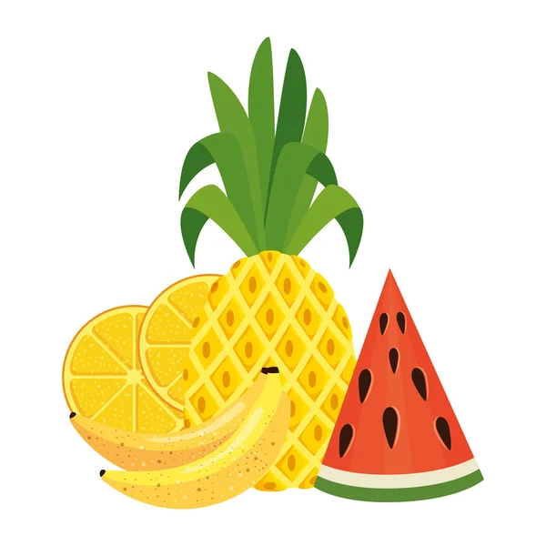 Fruits frais d'été icônes nature — Image vectorielle