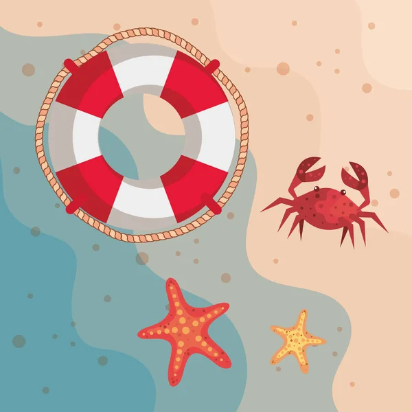 在沙滩沙滩上漂浮着螃蟹和海星 — 图库矢量图片