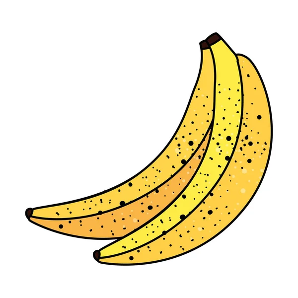Бананы свежие фрукты — стоковый вектор