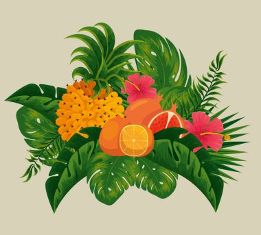 yapraklarında portakal ve nar meyve ile ananas