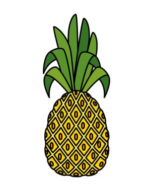 yaz taze meyve ananas simgesi