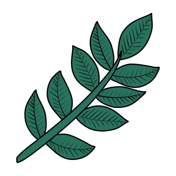 树枝与叶植物图标 — 图库矢量图片