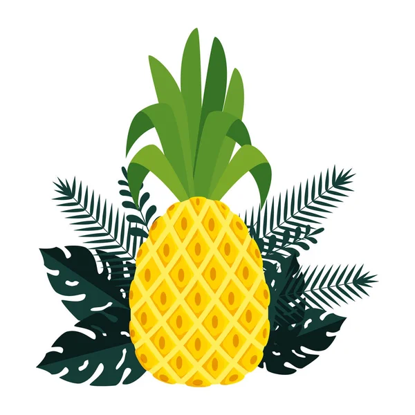 Sommerrahmen mit tropischen Ananas- und Blattpflanzen — Stockvektor