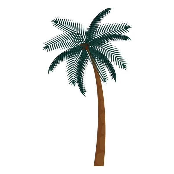 Árbol palmera playa verano icono — Vector de stock