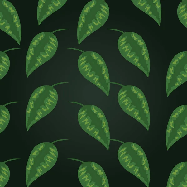 Тропические листья экзотического дизайна растений — стоковый вектор