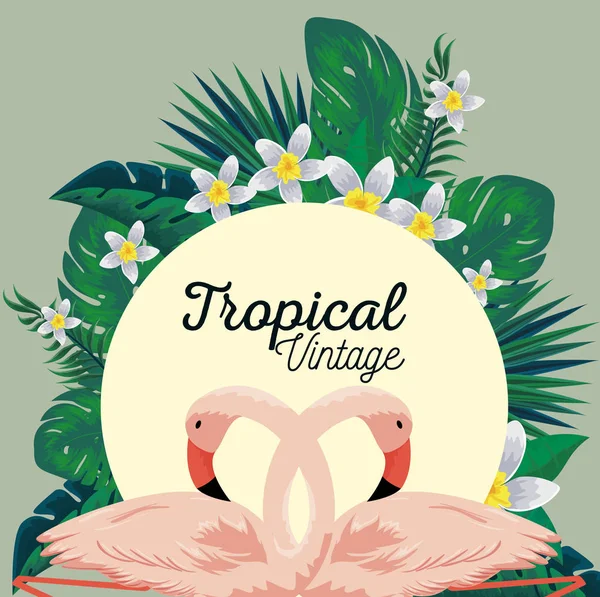 Rótulo com flores e flamingos tropicais plantas —  Vetores de Stock