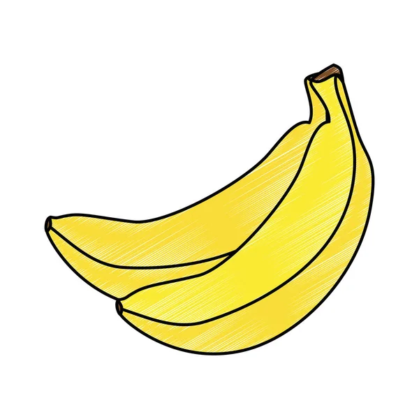 Verse bananen cluster fruit pictogram — Stockvector