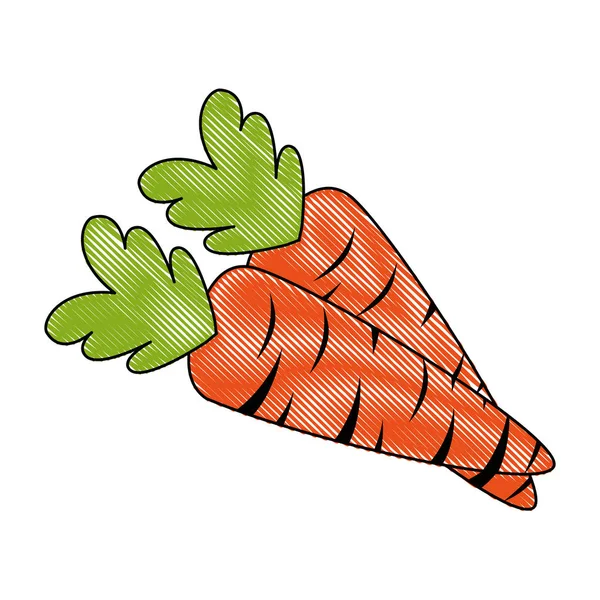 Zanahorias frescas comida vegetariana — Vector de stock