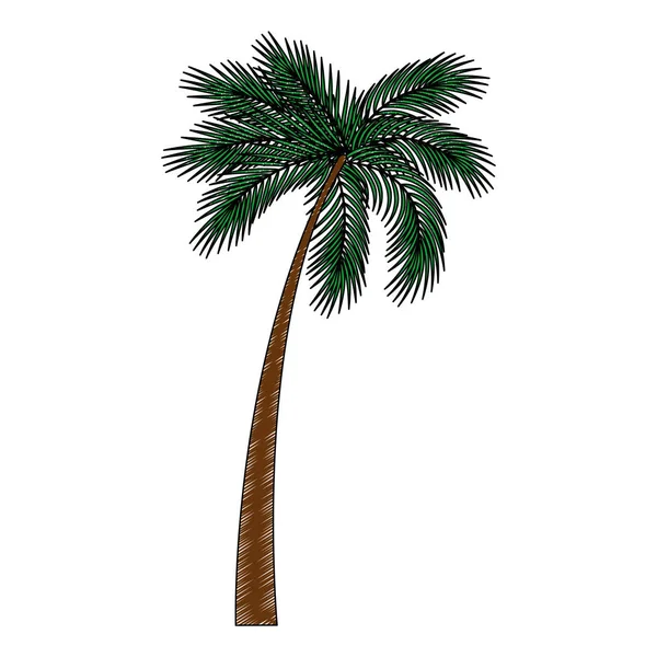 Trees palms natural icon — Stock Vector