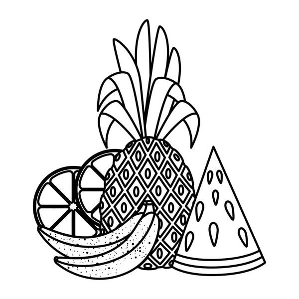 夏季新鲜水果自然图标 — 图库矢量图片