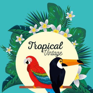 çiçekli papağan ve toucan hayvanlar ile etiket